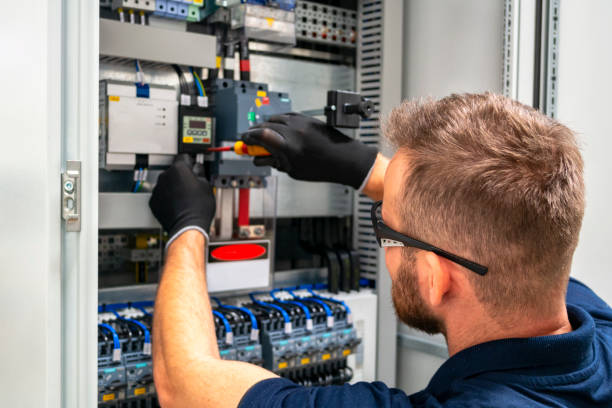 Best Electrician for Home Renovation  in Calumet Park, IL