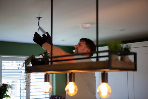 Best Electric Panel Repair  in Calumet Park, IL